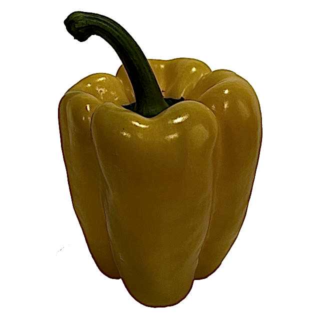 TLP03 F1 Sarı Kaliforniya