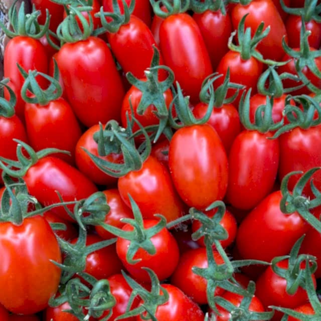 TT13 F1 Şeker Domates
